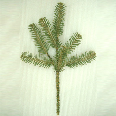 Sell PE NOBLE FIR SPRAY