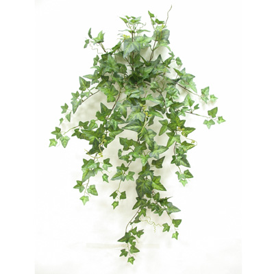 Sell NEEDLE POINT IVY MED. HANGING VINE BUSH X 9
