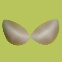 Regular Foam Bra Cup