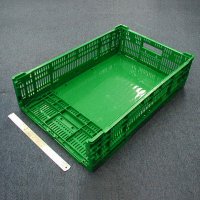 Collapsible Vegetable Crate Mold