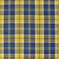 Yarn Dyed Check