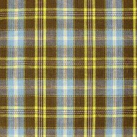 Yarn Dyed Check