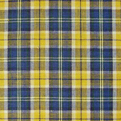 Yarn Dyed Check