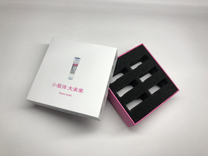 Molded Packaging Box