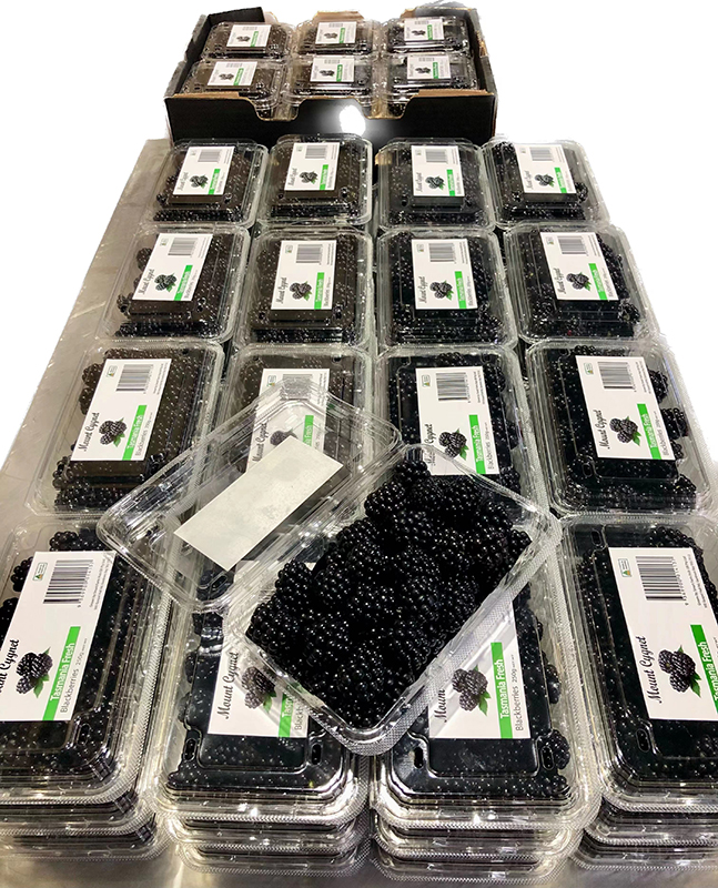 Waterproofing Packaging Label