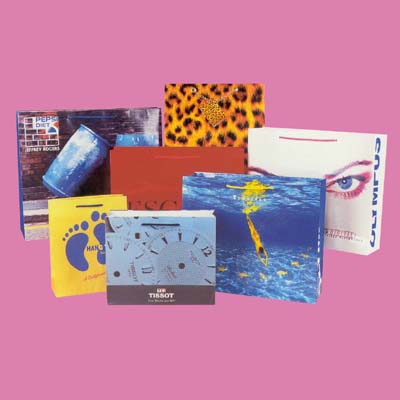 Project Reference Shopping Bag