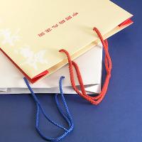 Paper Hang Bag