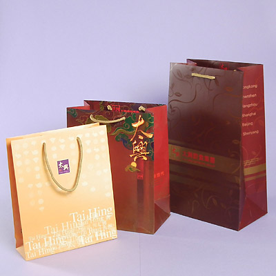 Paper Bag 05