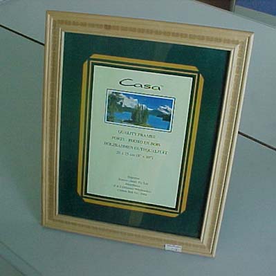 Photo Frame 9 x 11 inch