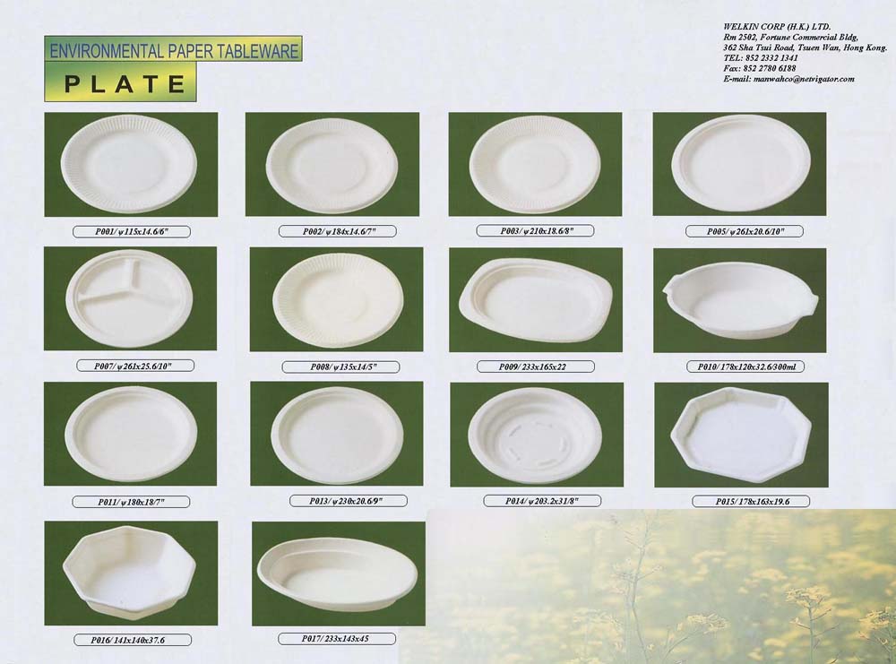 Environmental Paper Tableware - PLATE
