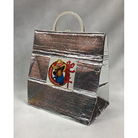 Cooler Bag