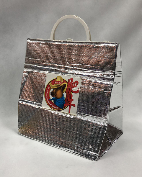 Cooler Bag