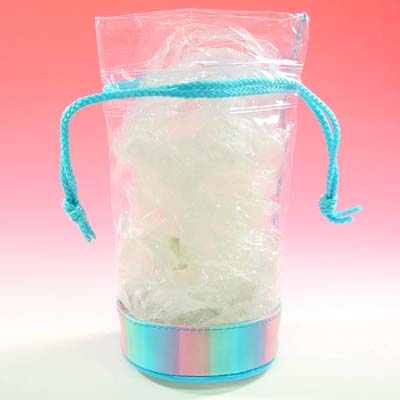 Packing Bags