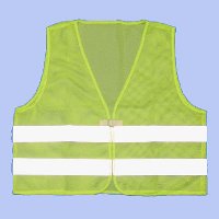 Neon Mesh Vest