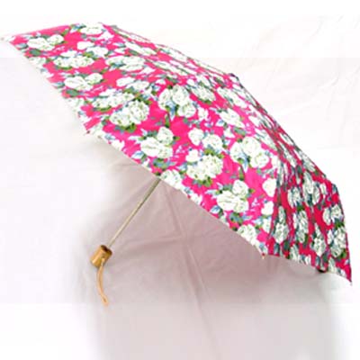Folding Umbrella