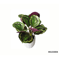 Artificial Plant Maranta