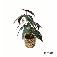 Artificial Plant Spotted Begonia