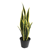 Artificial Plant Tree