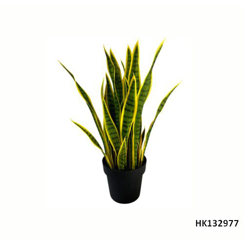 Artificial Plant Sansevieria