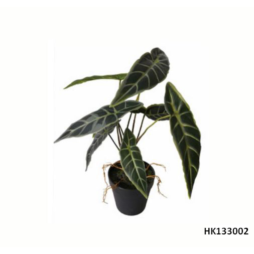 Artificial Plant African Mask