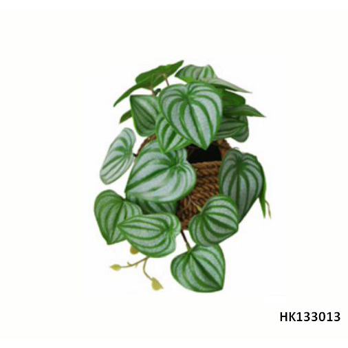 Artificial Plant Maranta