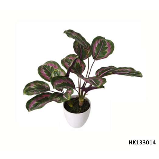 Artificial Plant Maranta