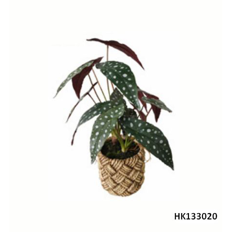 Artificial Plant Spotted Begonia