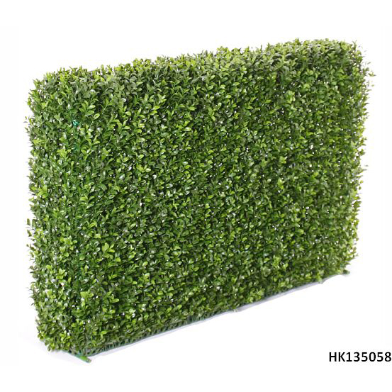Baxus Hedge