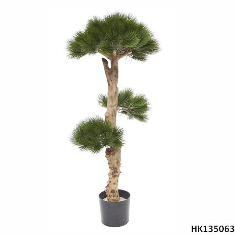 Pine Tree with Pot