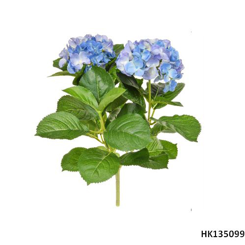 Hydrangea with Pot H45cm