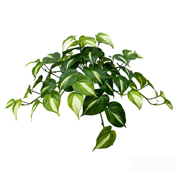 Artificial Plant Tree