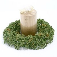6 inches Greenish candle ring