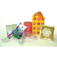 PVC/PETG Packaging Plastic Folding Box