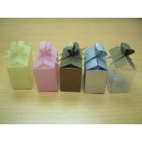 PVC/PP/PETG Packaging Box