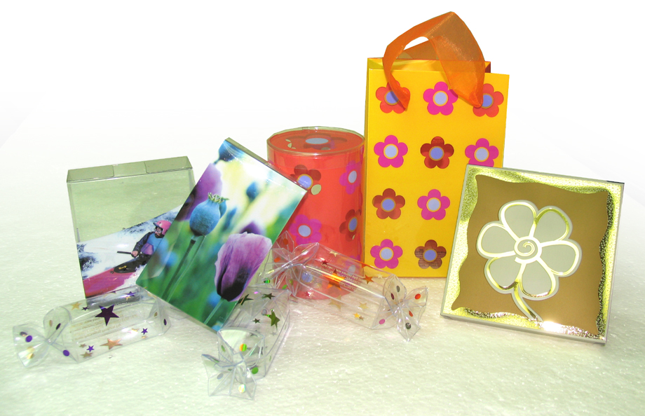 PVC/PETG Packaging Plastic Folding Box