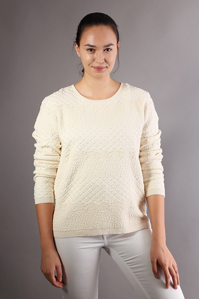 Women Beige Crew Neck Long Sleeves Jacquard Patterns Sweater