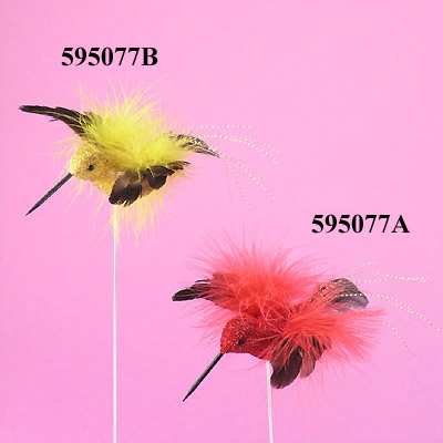 Humming bird with feather