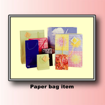 Paper Bag Item