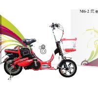 Electric Bicycle