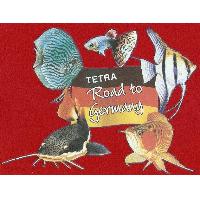 Sell Transfer Printing