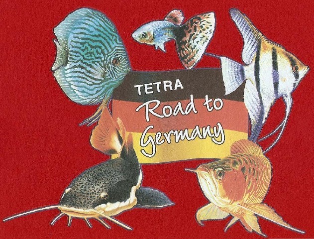 Sell Transfer Printing