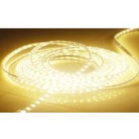 Fexible Led Strip 3528 & 5050 Rgb/w/r/g/b