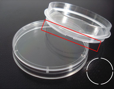 100mm Disposable Cell Culture Petri Dish With Easy-grip Brim