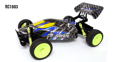 1:10 Full Function RC Buggy