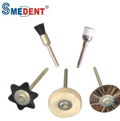 Prophy Brush/dental Brush Nylon Or Bristle Or Wool Availbale