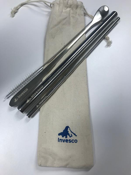 Stainless Steel Straw and Spoon Set