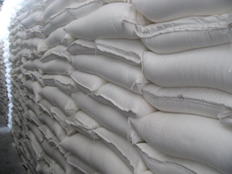 Corn Starch (food & Industrial Grade)