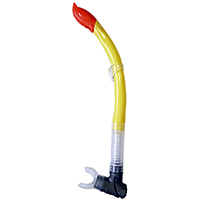 Snorkel