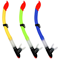 Snorkel