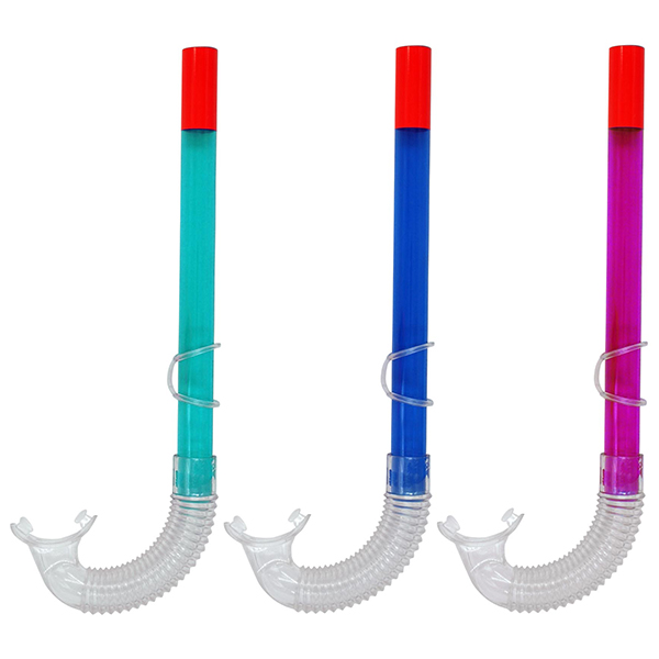 Snorkel